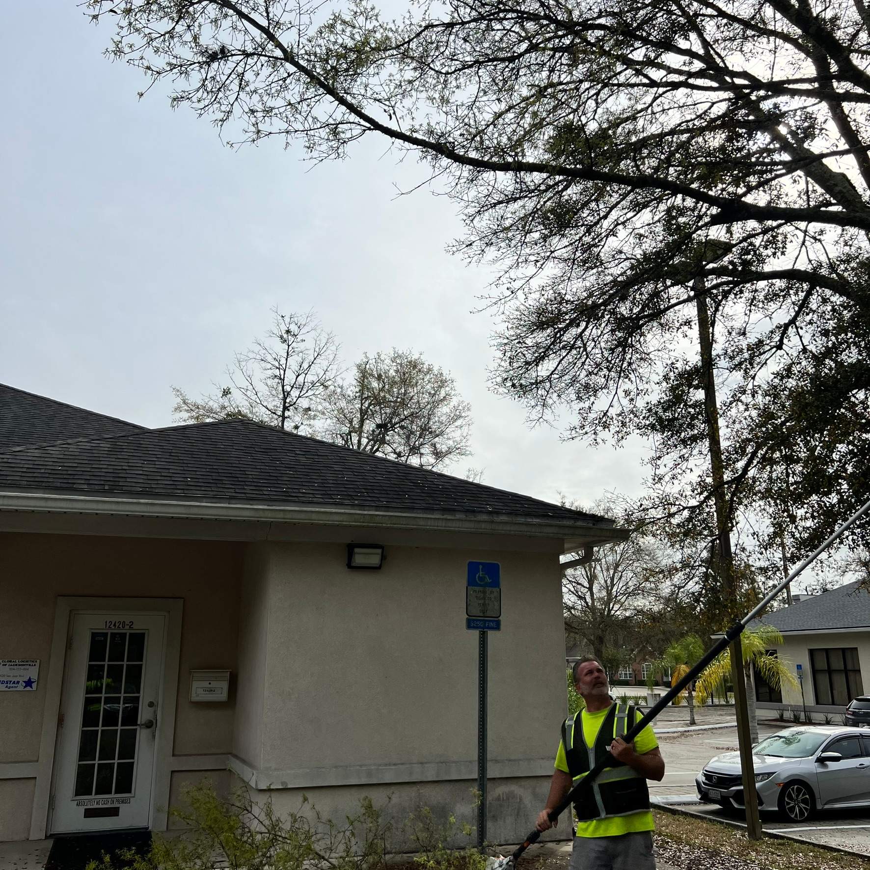 Tree Work | Great Expressions Dental by ProGreen Services