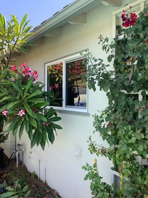 Glendora window replacement 