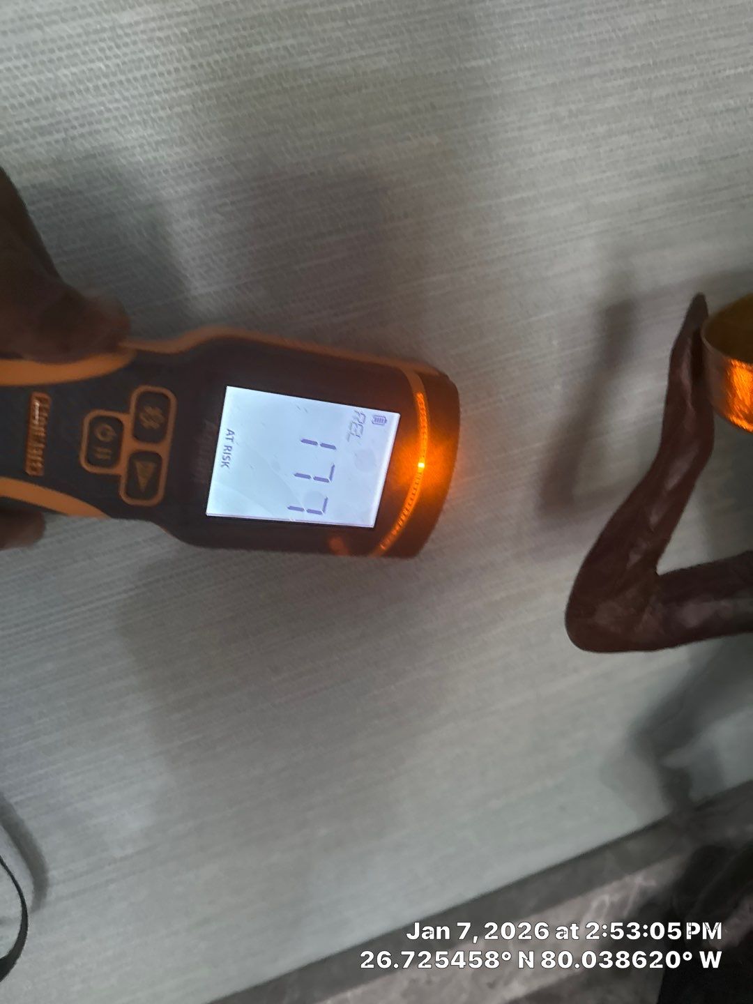 mold test by SuperClean 