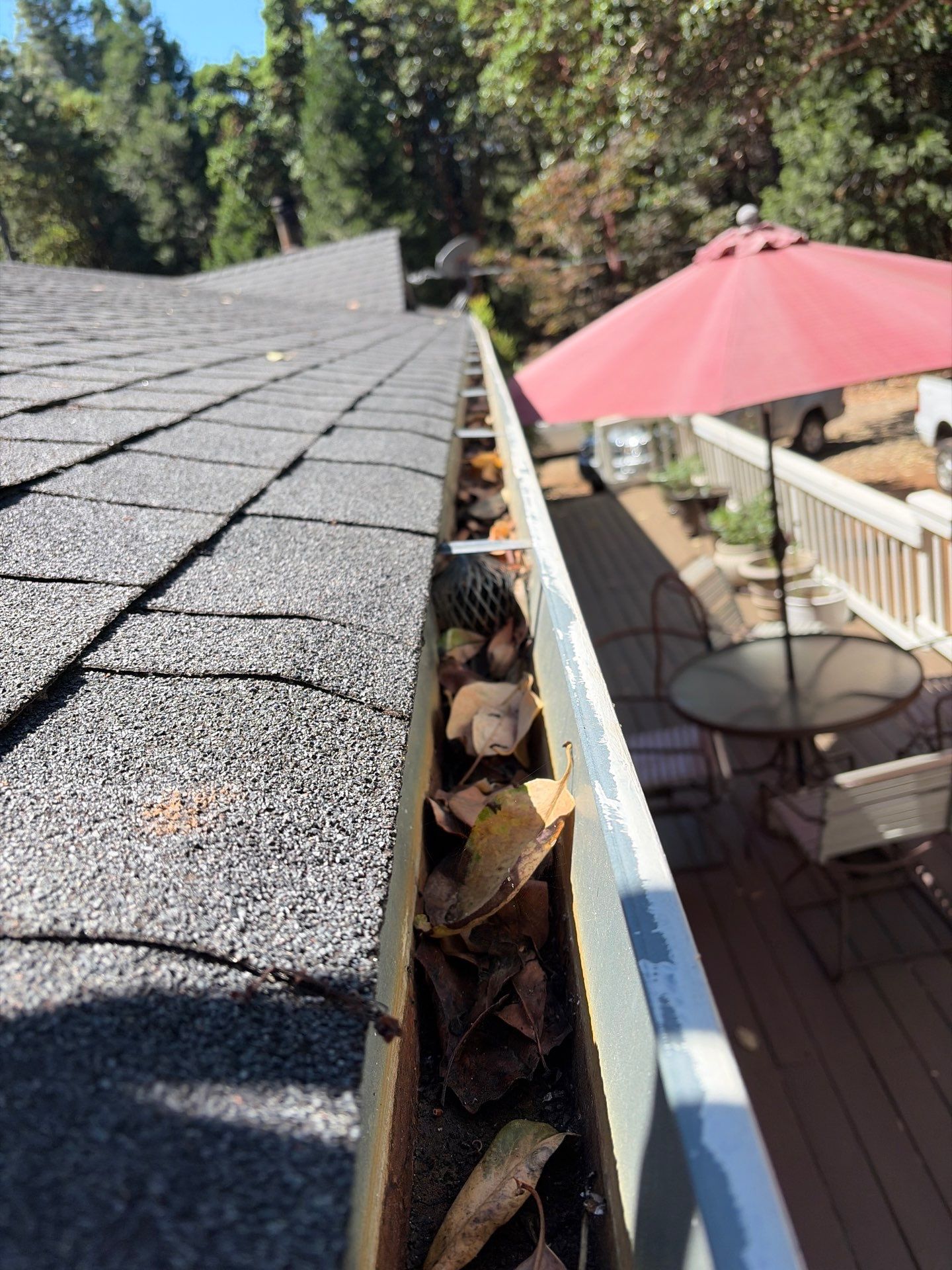 Roof Rejuvenation using Roof Maxx Treatment by Roof Maxx of Folsom