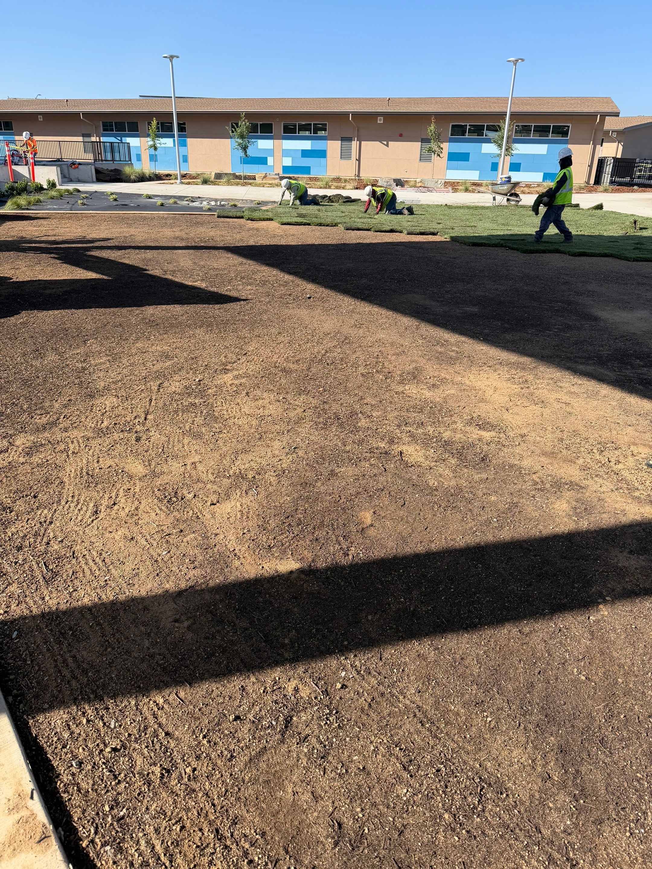 Project in Rancho Cordova by A - G Sod Farms