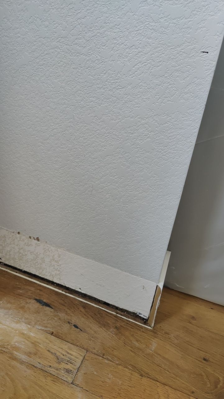 Mold Remediation  by Accountable Home Services