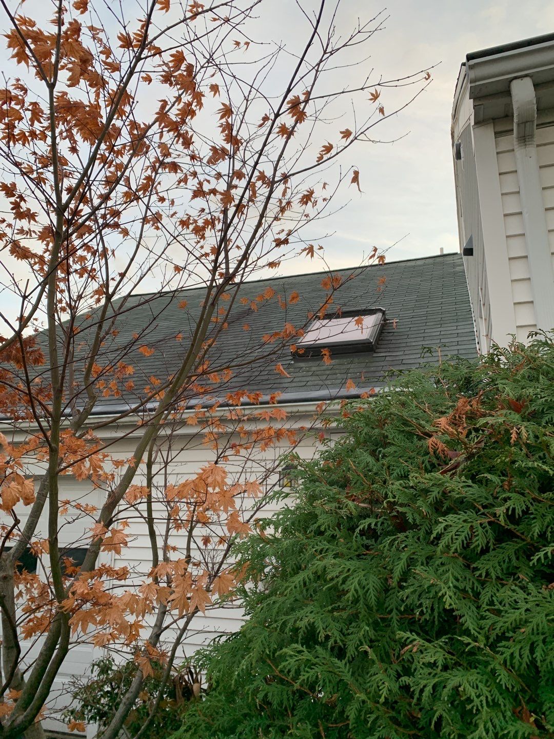 Residential Roofing Installation using GAF HDZ PEWTER GRAY by Master Roof Inc