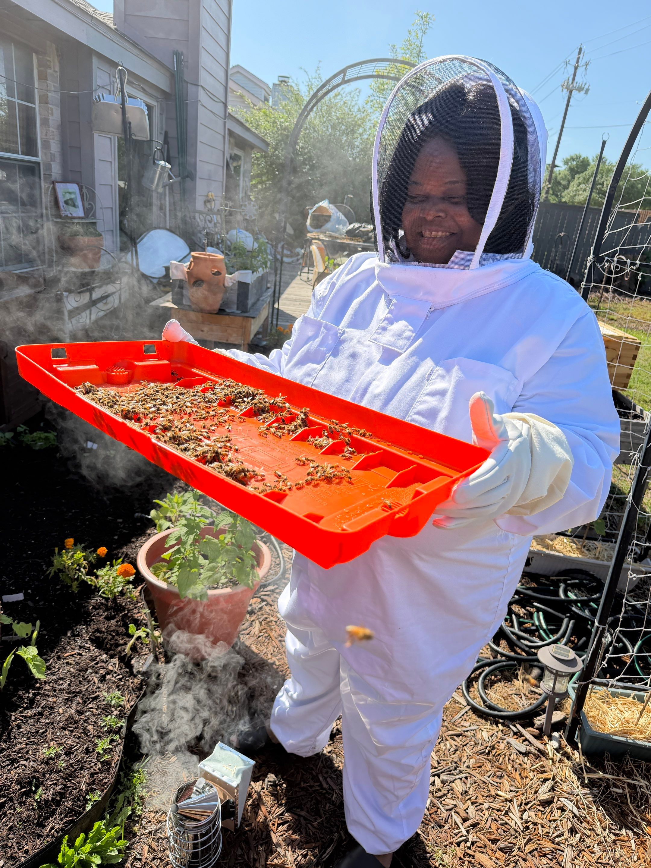 New beekeeper in Rowlett by Rockwall Honey Bee Company