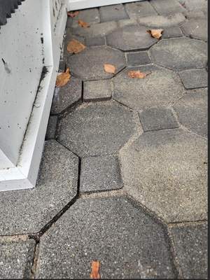 Gutter Cleaning in Mountain Lakes, NJ — Gallo Bros job photo