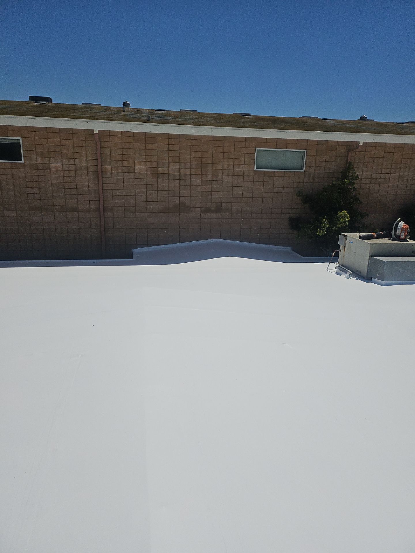 Single-ply restoration system using Benchmark/PUMA XL coatings over TPO single-ply roofing by Straight Edge Roofing Inc