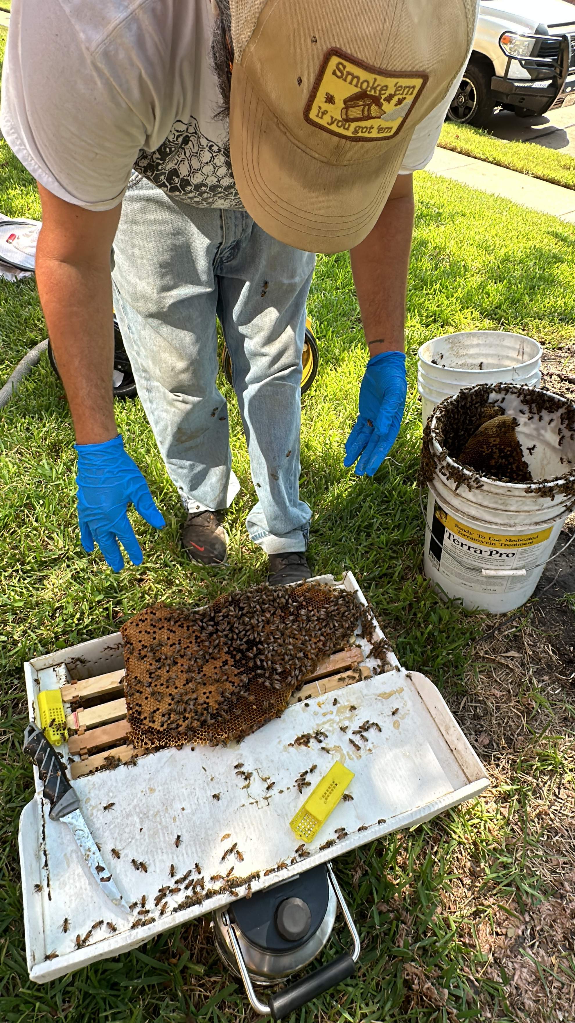 Extra High Up by Rockwall Honey Bee Company