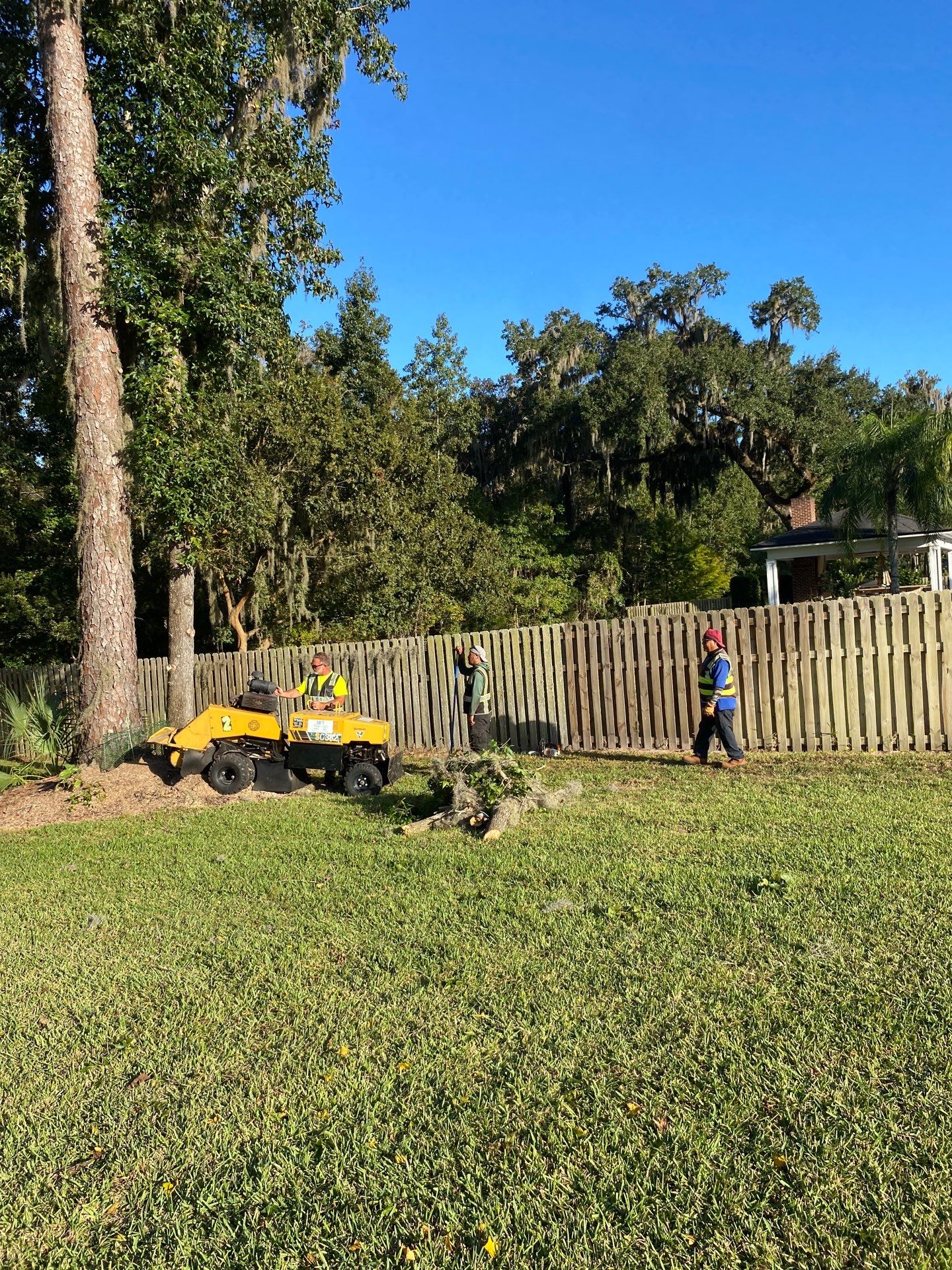 Deerwood Resident | Tree Removal & Stump Grinding by ProGreen Services