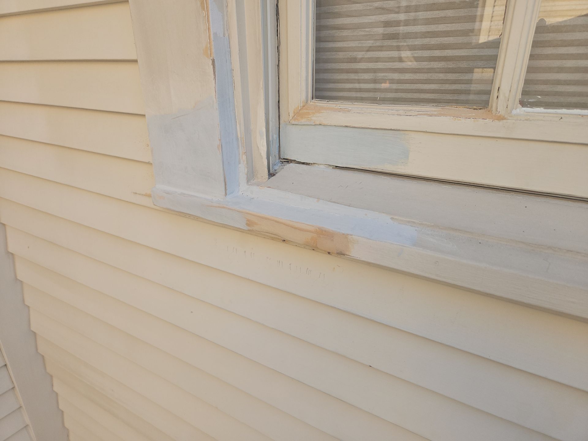 Project in New Orleans by King Cole Construction