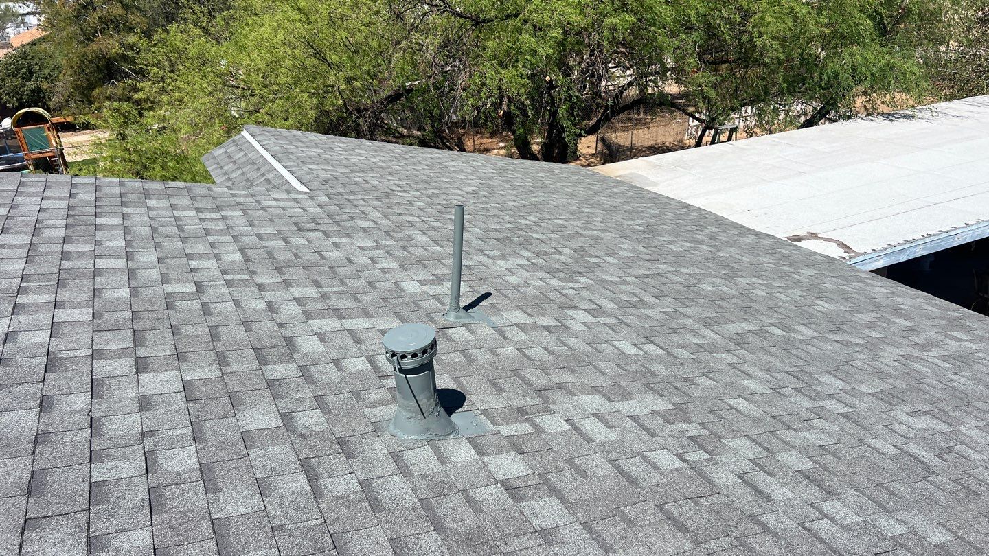 Silver Birch Shingles by Reimagine Roofing