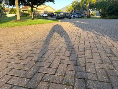 Paver Driveway & Sidewalk Cleaning – Oakleaf Hammock, Ellenton, FL