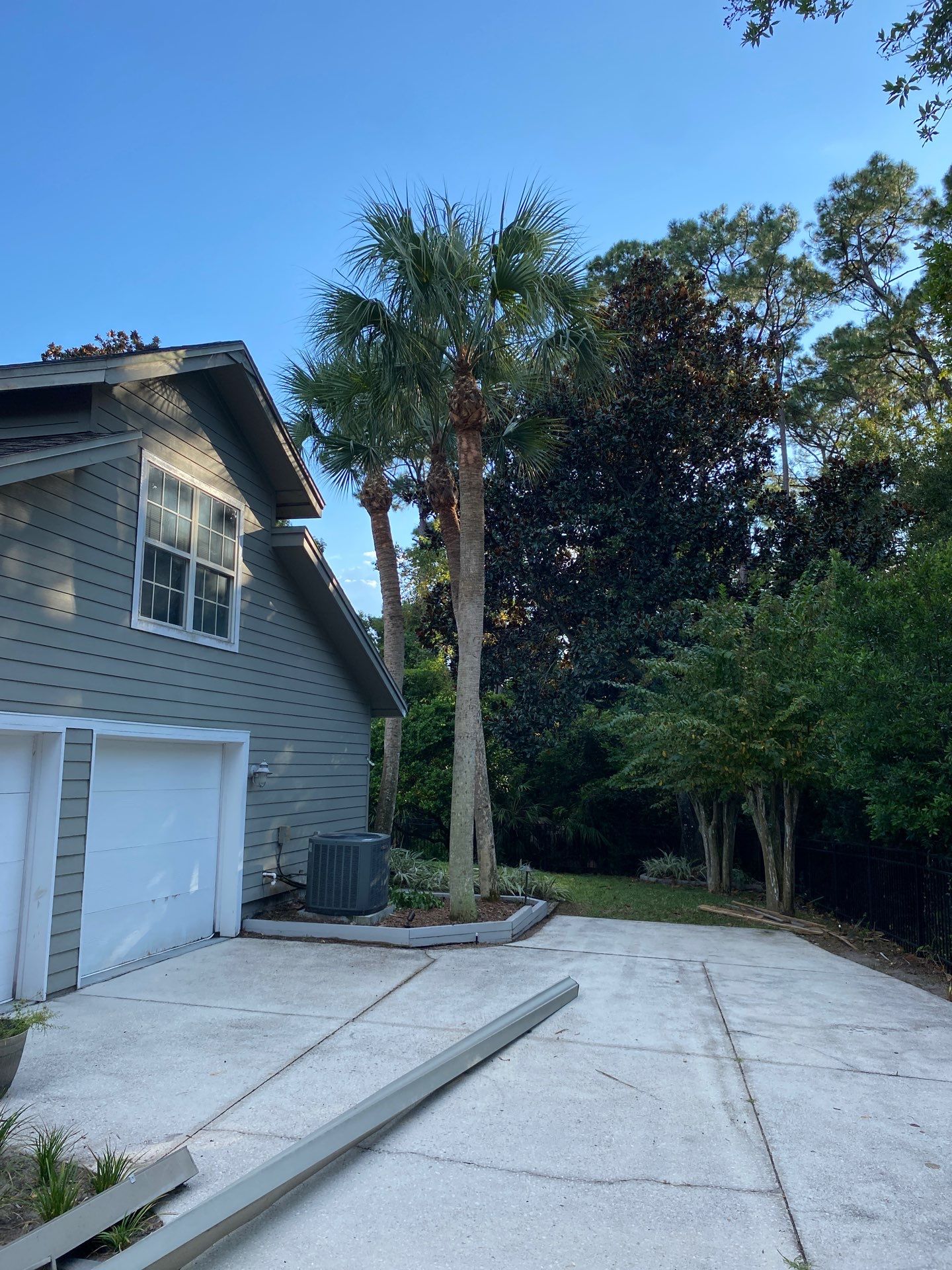 Deerwood Resident | Palm Tree Trimming by ProGreen Services