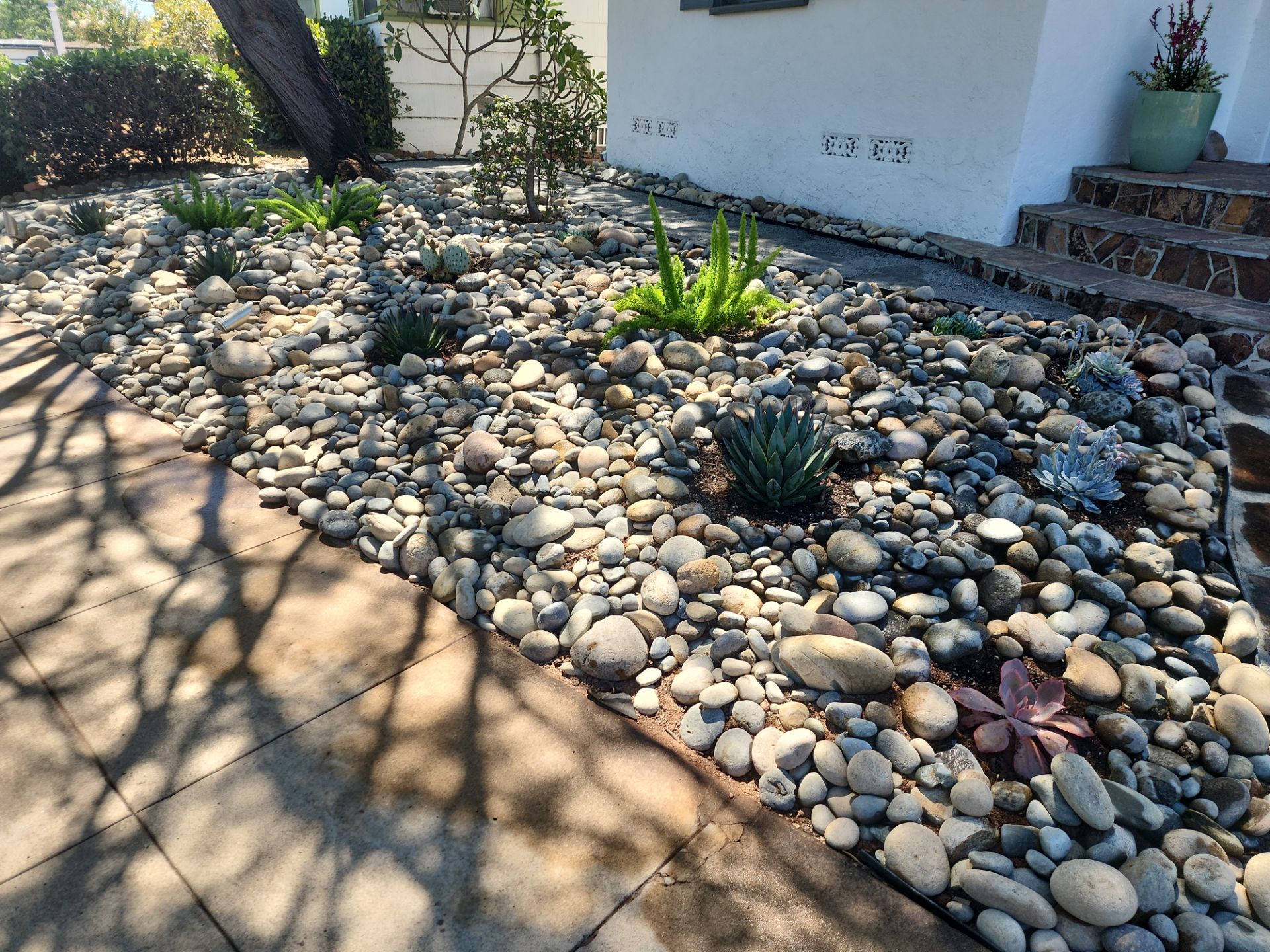 Xeriscape Transformation with River Rock and Irrigation in San Diego by Yard Techs