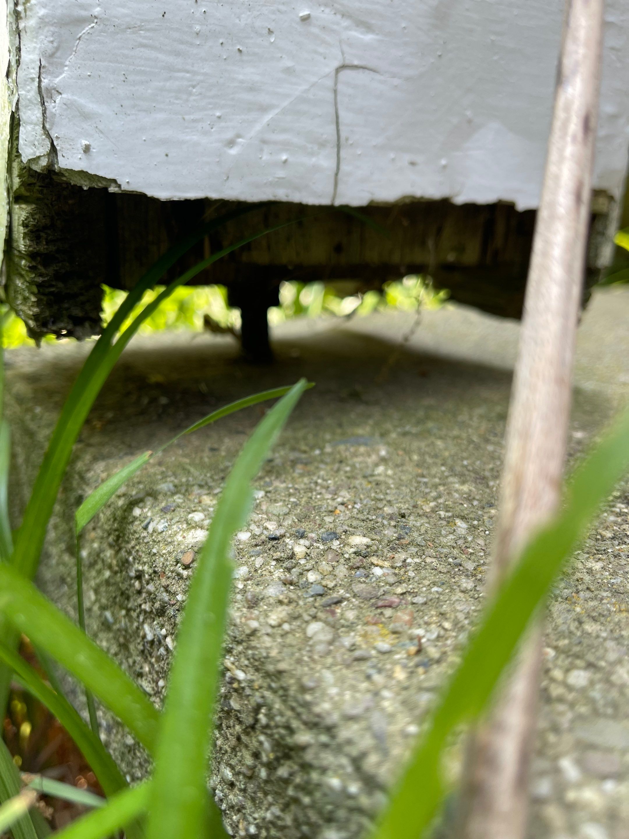 Property Maintenance using Various Tools & Supplies by A1 NERDY HOMES LLC