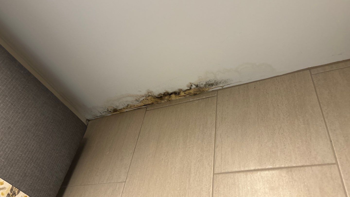 Roof repair and ceiling repair by Deerfield Roofing LLC