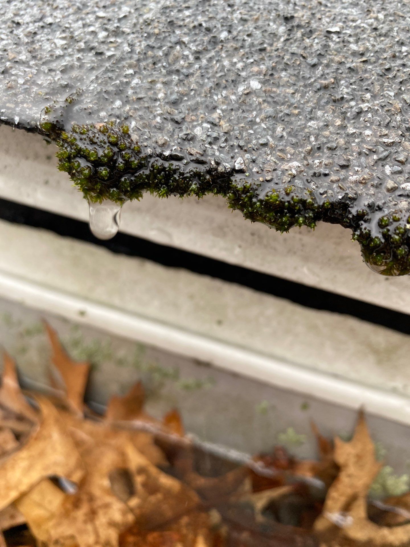Gutters | Arlington by Mighty Dog Roofing of Greater Middlesex County