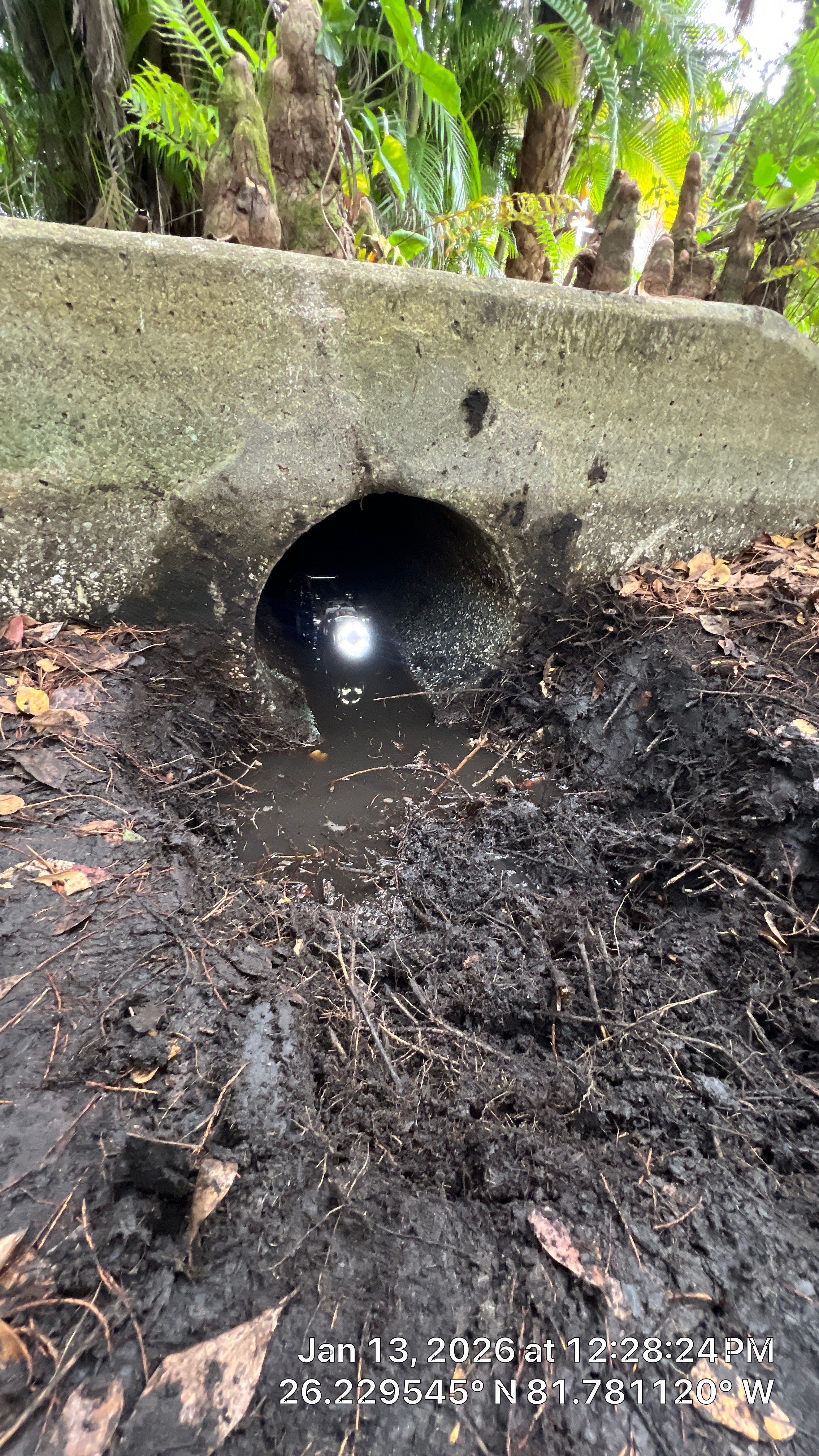 Naples Community Root Intrusion Investigation with P.R.S. by APS Power & Water