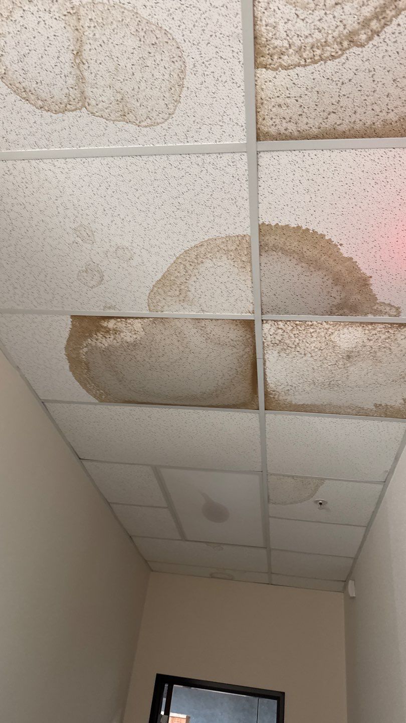 Project by NuLead Construction Inc by NuLead Construction Inc