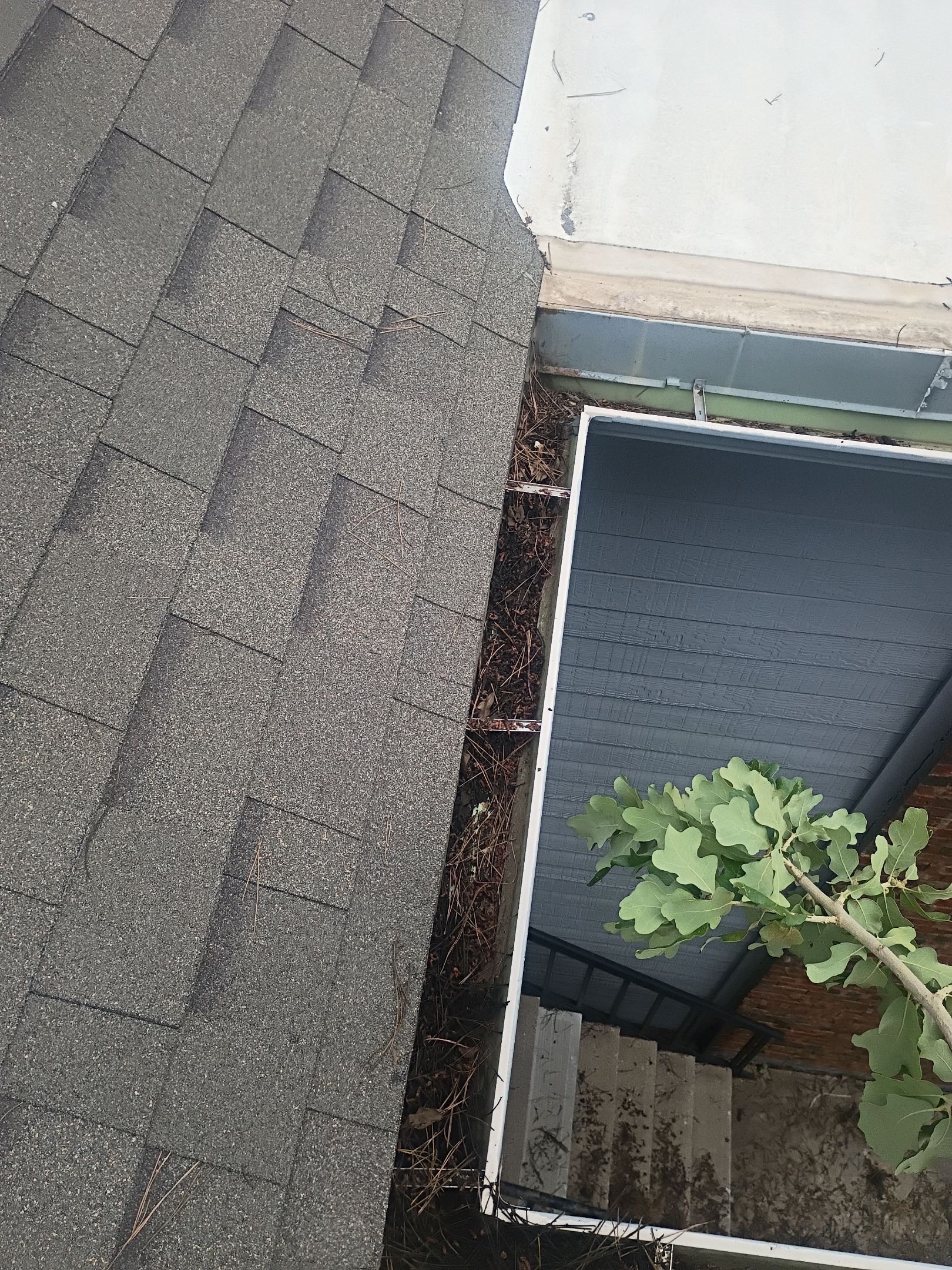 HOA gutter cleaning before photo