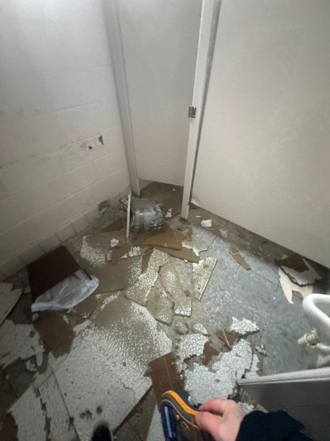 Project in Royal Oak by EzDry Water Mitigation & Property Restoration