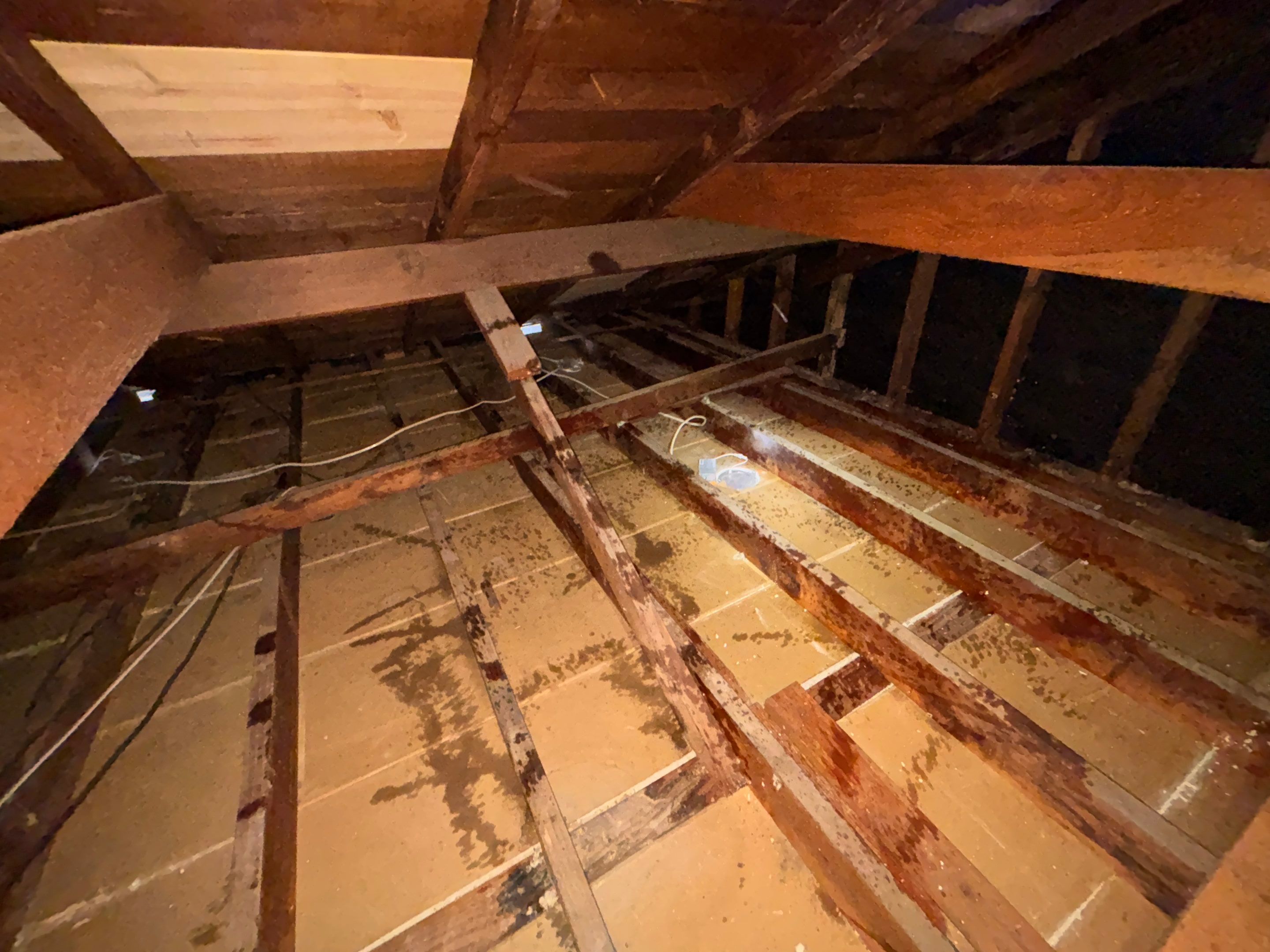 Project in Long Beach by Insulation Labs