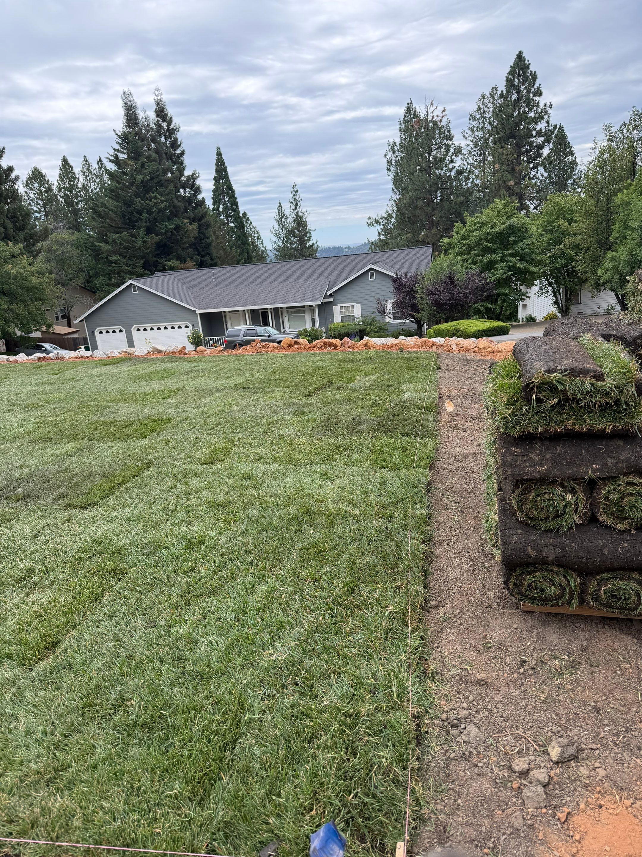 Project in Camino by A - G Sod Farms