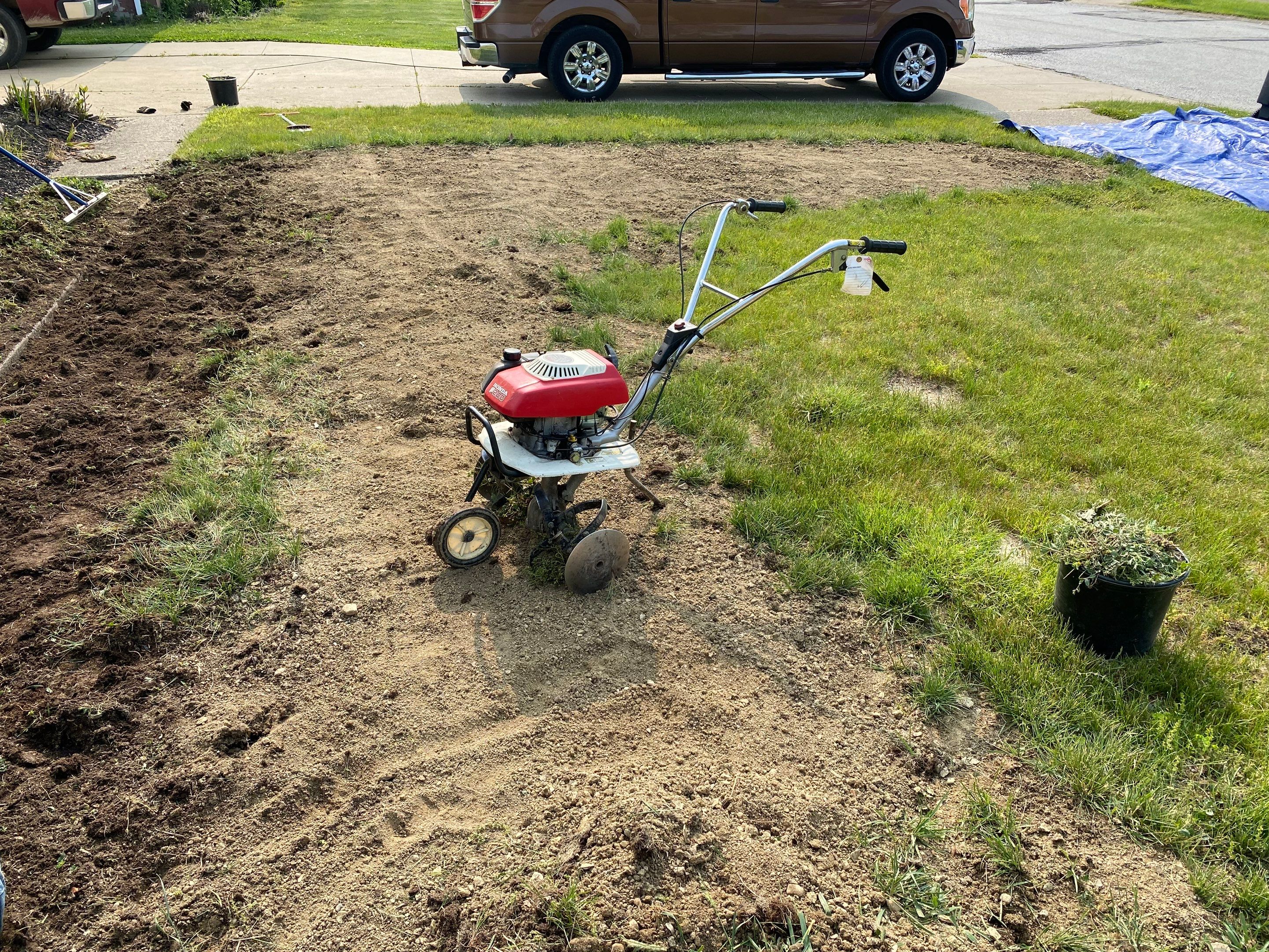 American Lawn Repair by Elm Rose Gardens