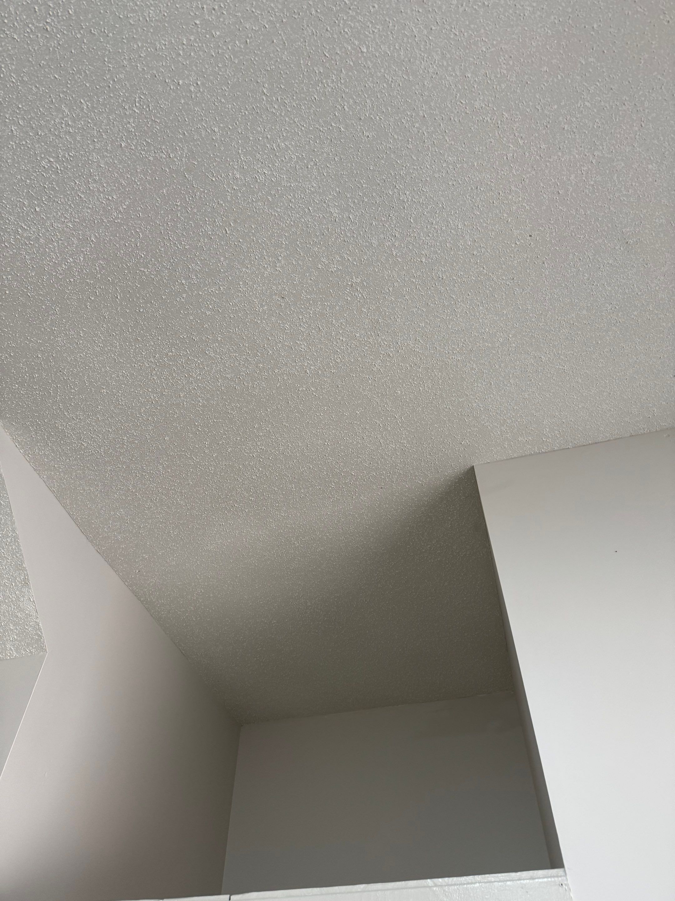 Custom Epoxy Flake Floor Coating and Ceiling Repair in Muskegon by Gordon Painting