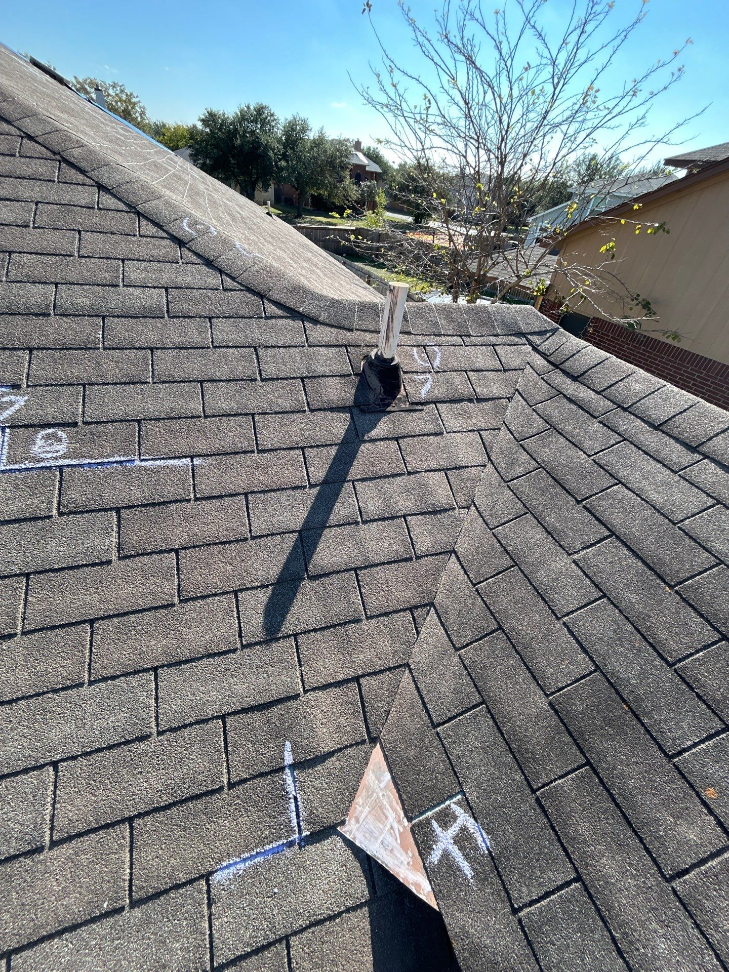 Miss Bridgette by REPS Austin Area Roofer