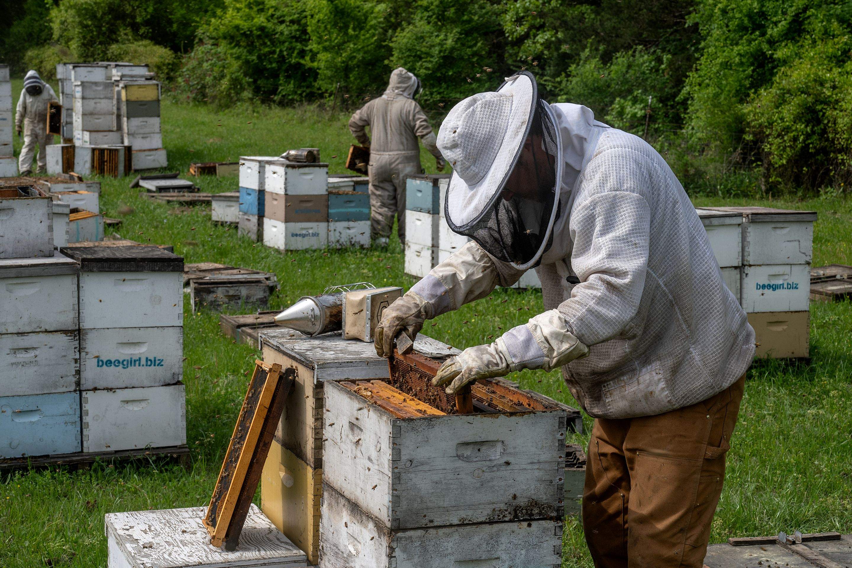 Splits in East Texas by Rockwall Honey Bee Company