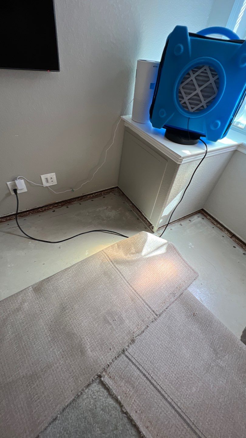 Mold Remediation  by Accountable Home Services