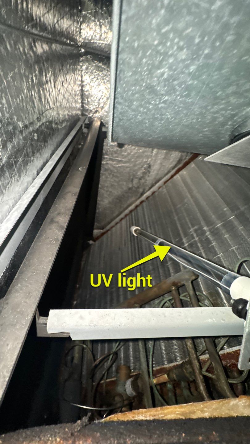 Air Duct Cleaning in Minneola by Hygienic Air, Inc