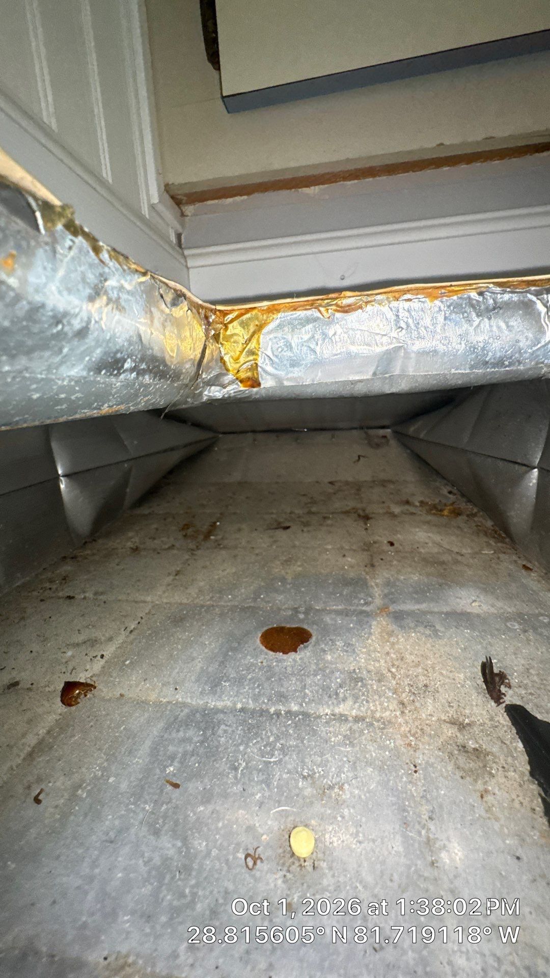 Air Duct & Return Cavity Cleaning in Tavares by Hygienic Air, Inc