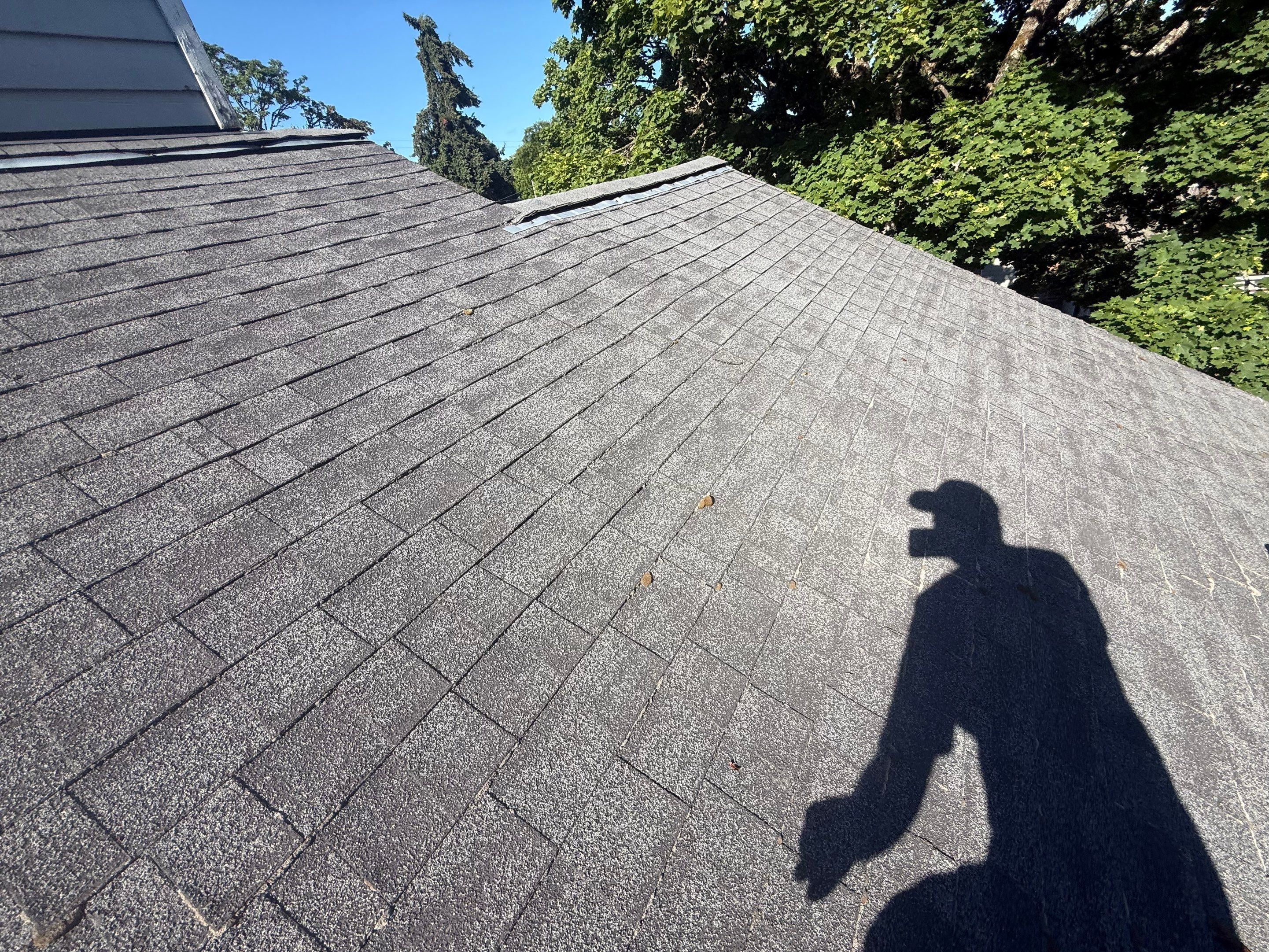 Springfield Residential Reroof Featuring New Sheathing and Synthetic Underlayment by BEST Roofing & Waterproofing