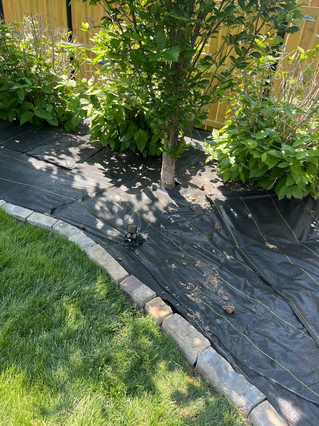 Landscape upadates. by New Horizon Landscapes