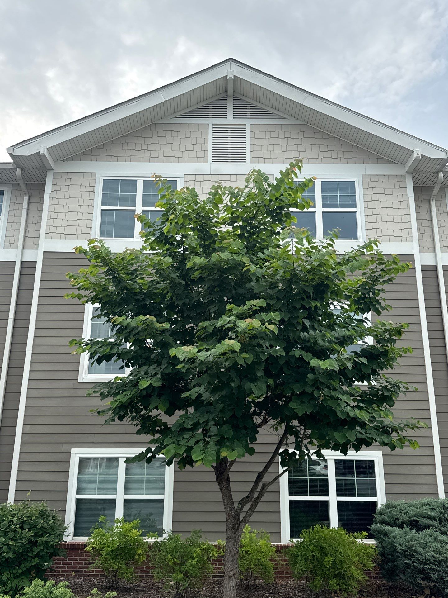 East Center Street Area — Lexington, NC