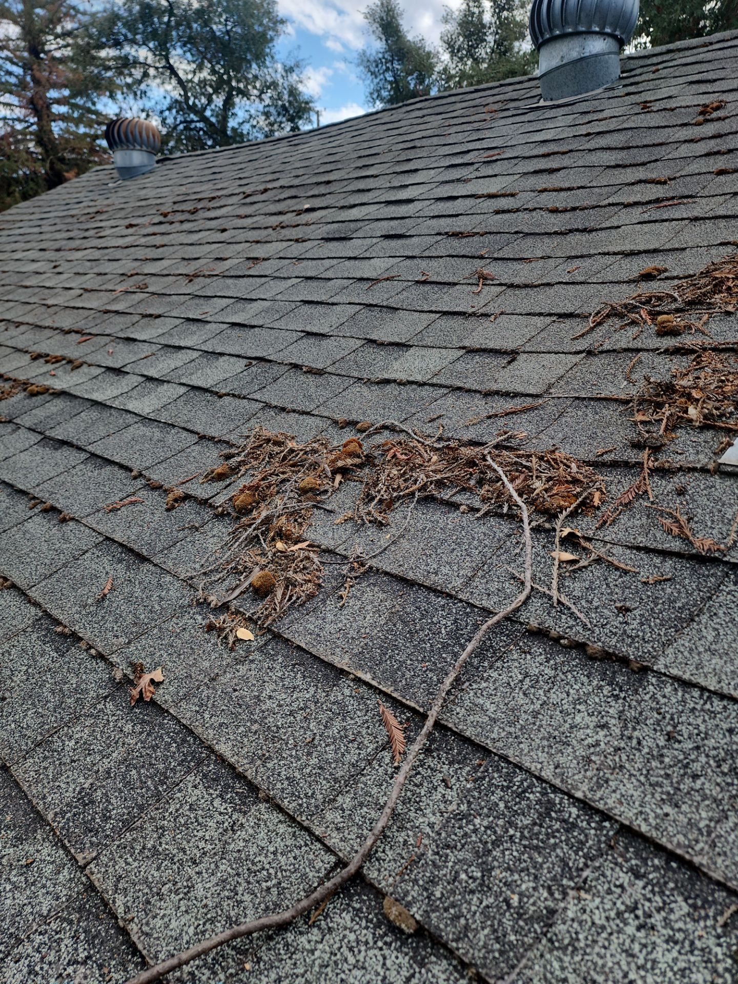 Roof Rejuvenation using Roof Maxx Treatment by Roof Maxx of Folsom