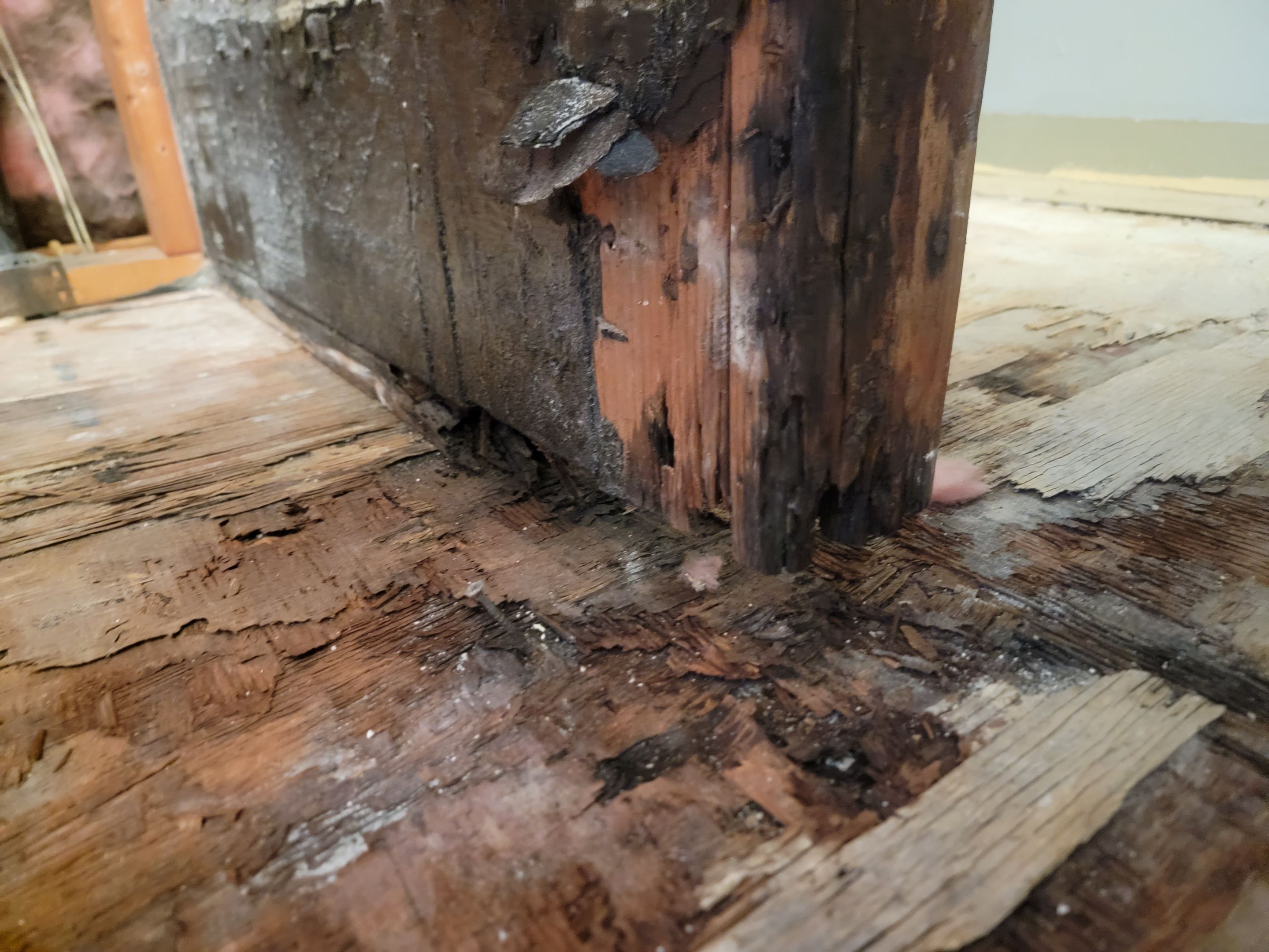 Water Damage and Restoration Completion by Smart Dry Restoration