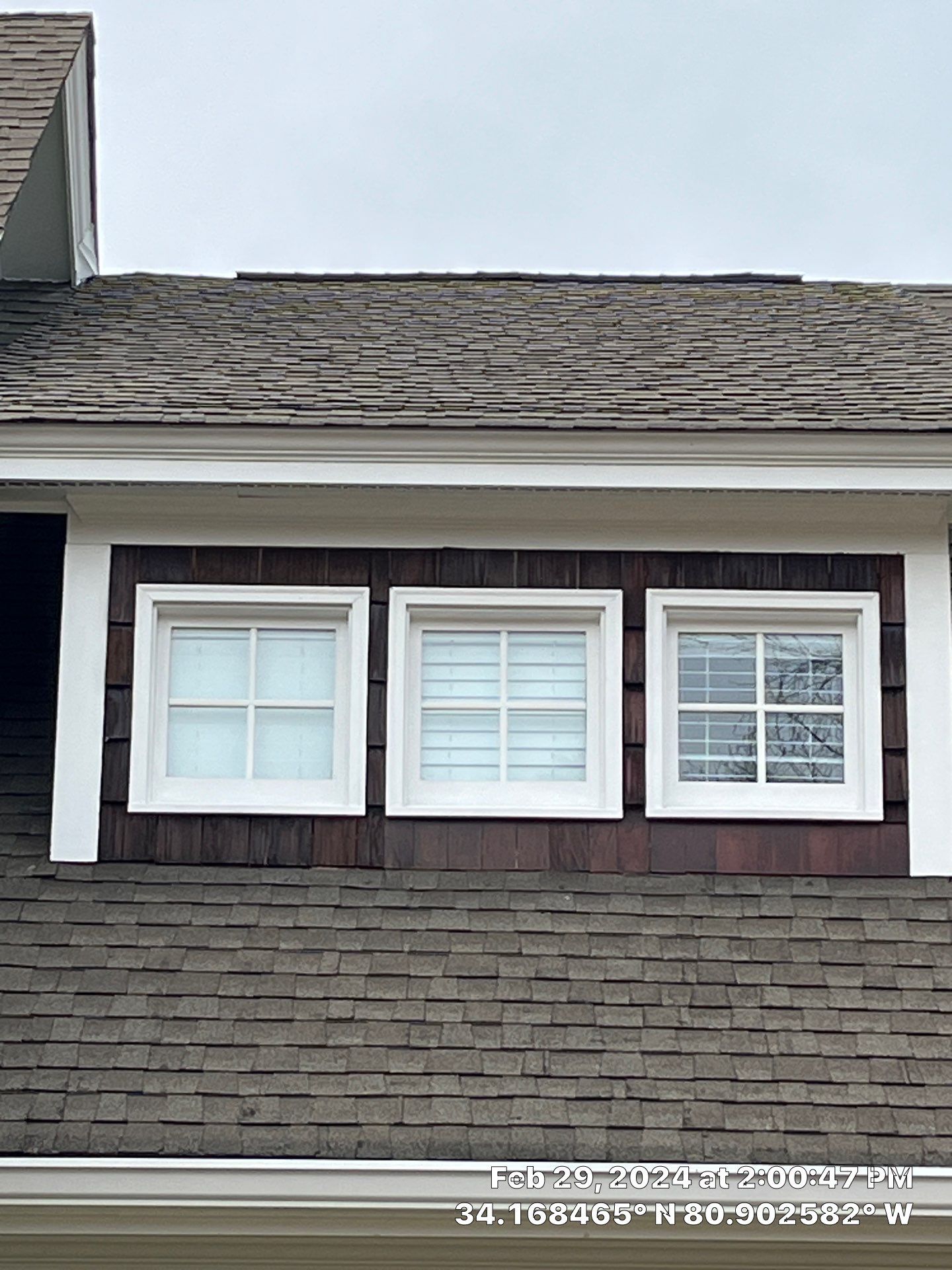 Geaux 2 Guy: Outsmarting Squirrels & Restoring Your Cedar Shingle Haven by Thompson Industrial