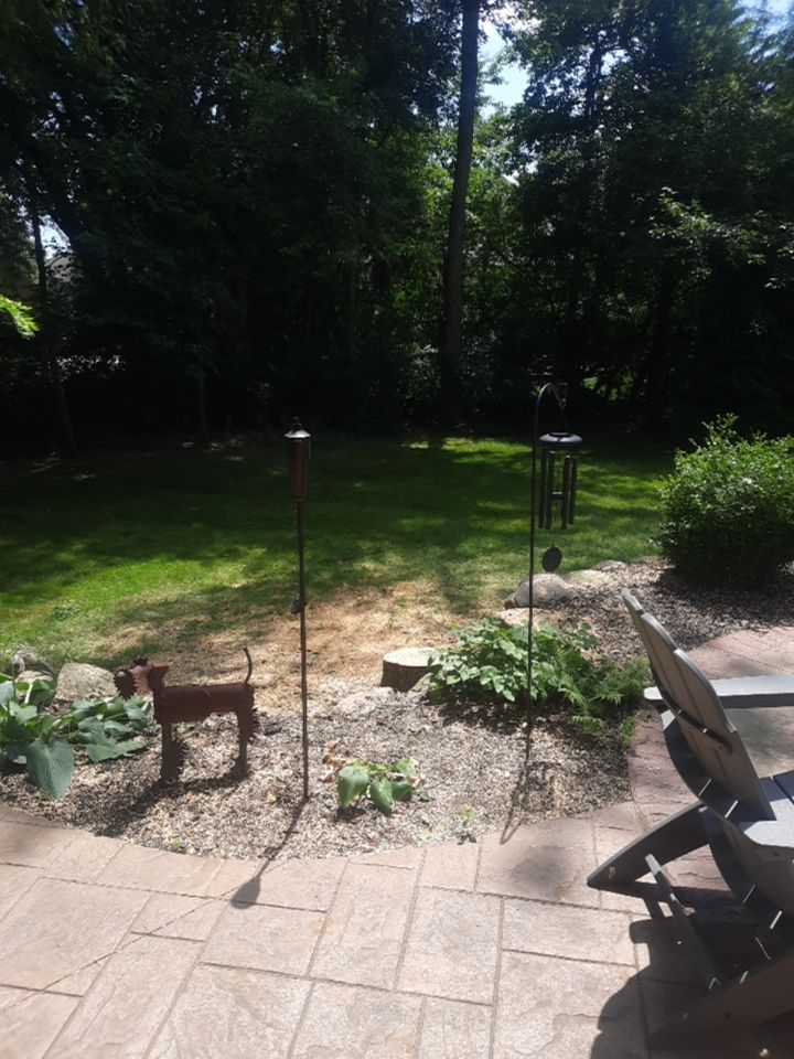 Tree Removal using Tree Removal by Mike Jones & Sons Tree Service LLC 