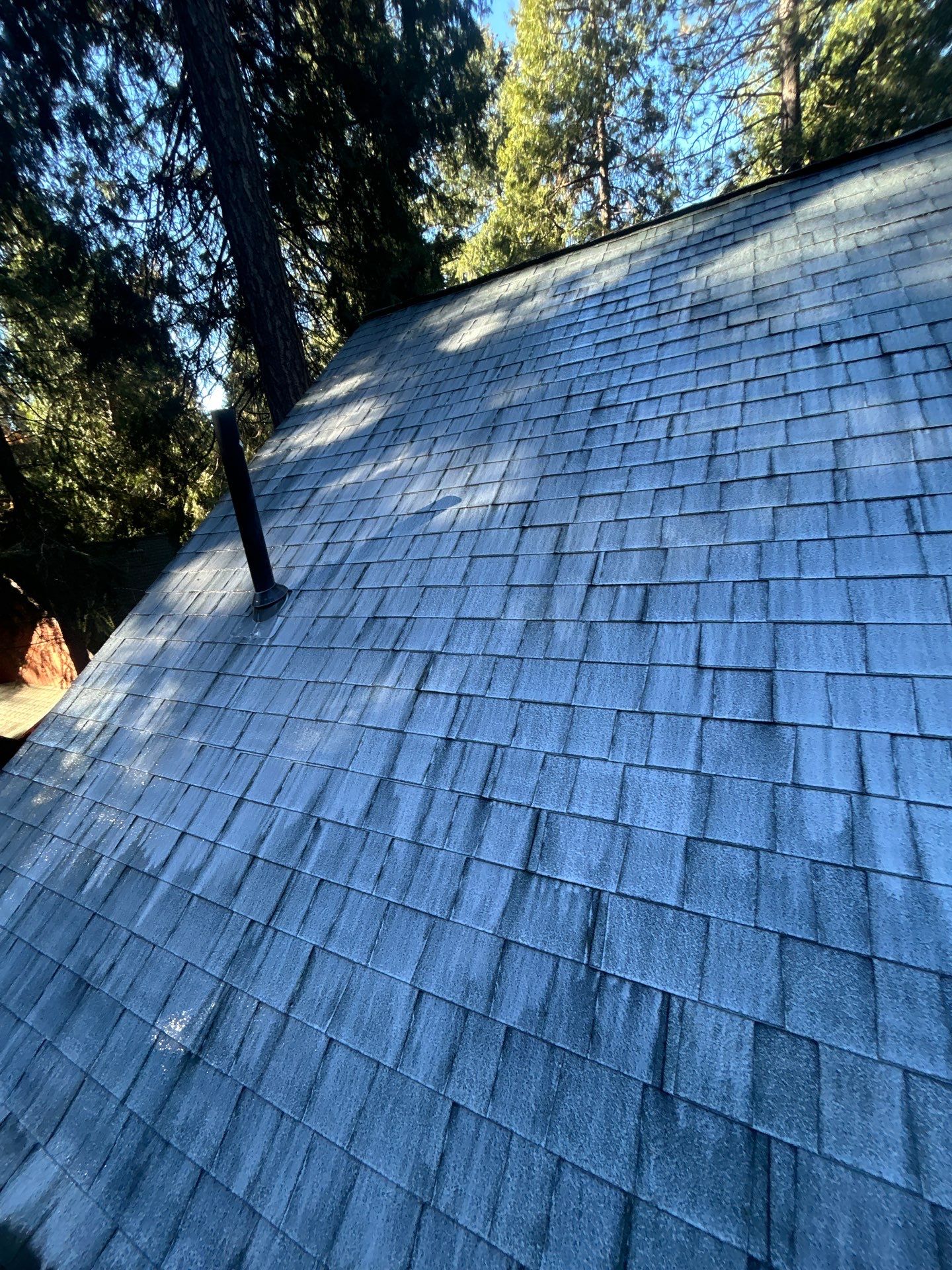 Roof Rejuvenation using Roof Maxx Treatment by Roof Maxx of Folsom