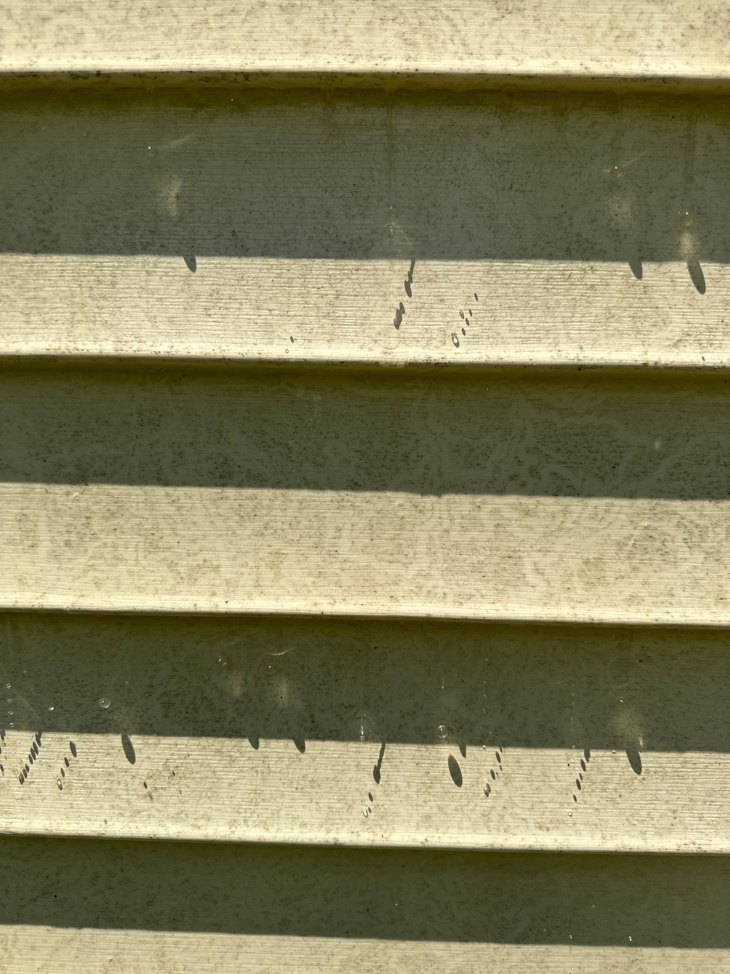 the image shows vinyl siding typically found on the exterior of buildings the pressure washing service appears to be cleaning the siding which is showing signs of dirt and possibly mildew accumulation the cleaning is likely to restore the siding's appearance by removing the buildup and improving the overall cleanliness of the exterior surface