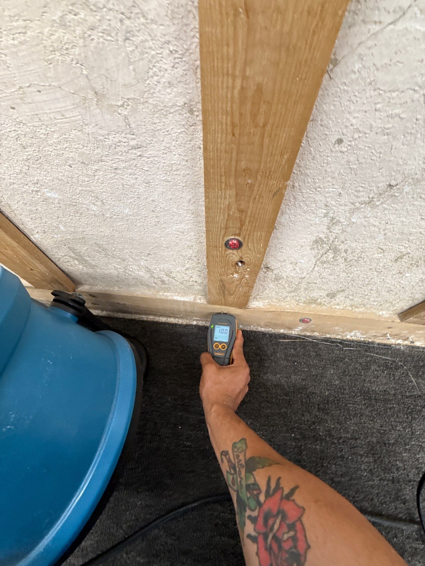 Project in Harlingen by First Response Restoration LLC