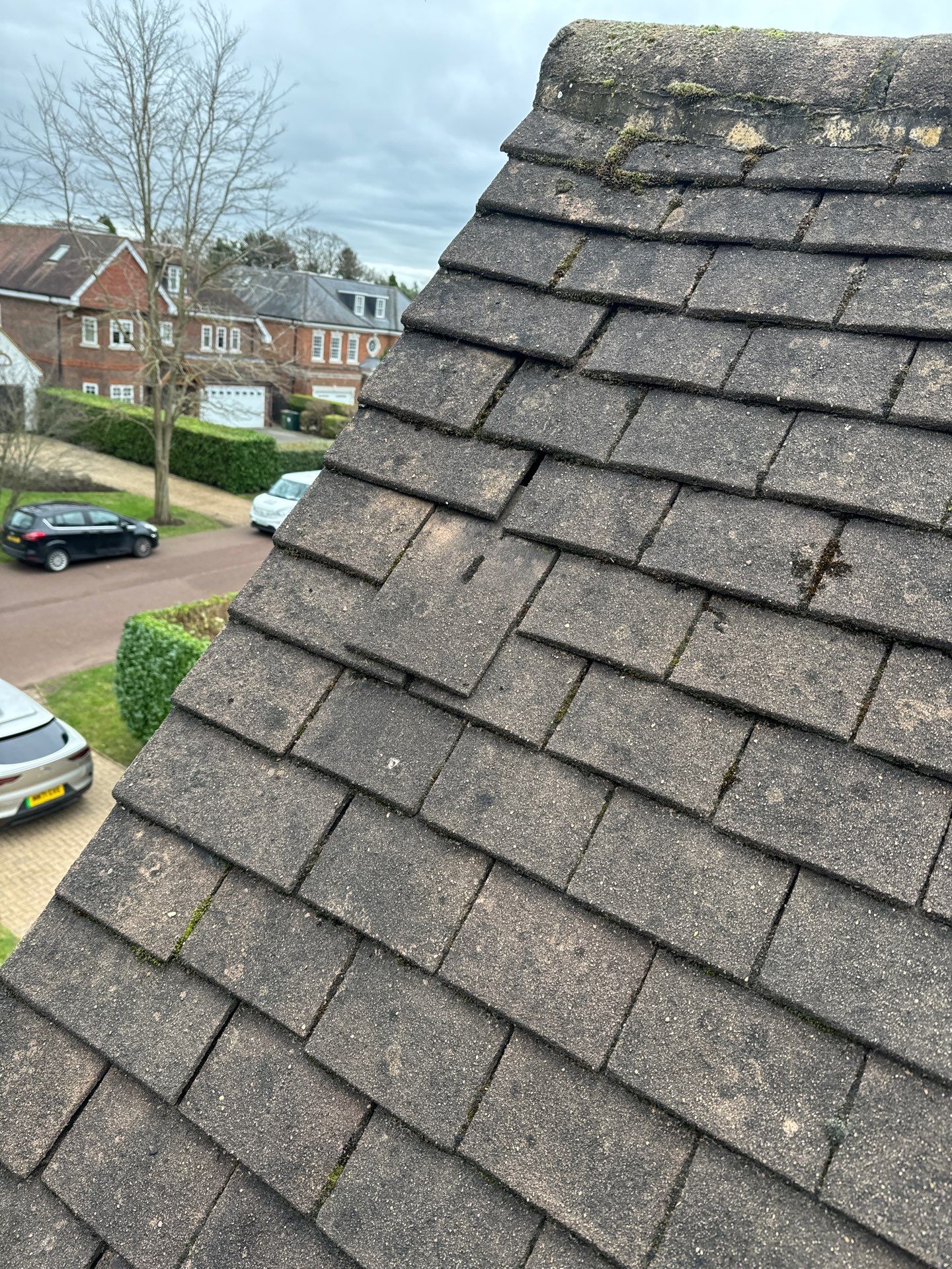 Roof and Patio Cleaning using Honda 15lpm Low Pressure Washing Machine by Ges Exterior Cleaning ltd
