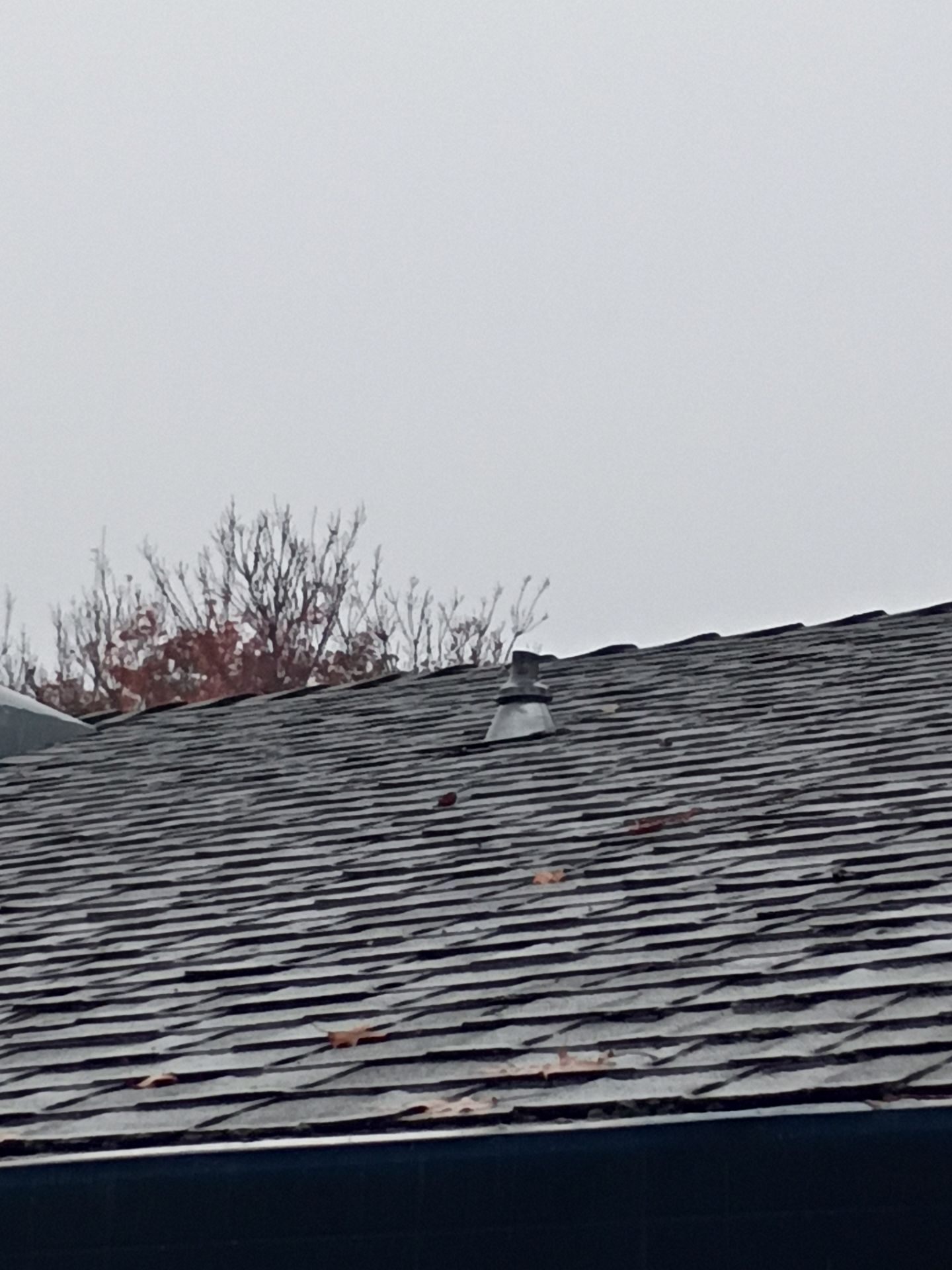 Roof Rejuvenation using Roof Maxx Treatment by Roof Maxx of Folsom