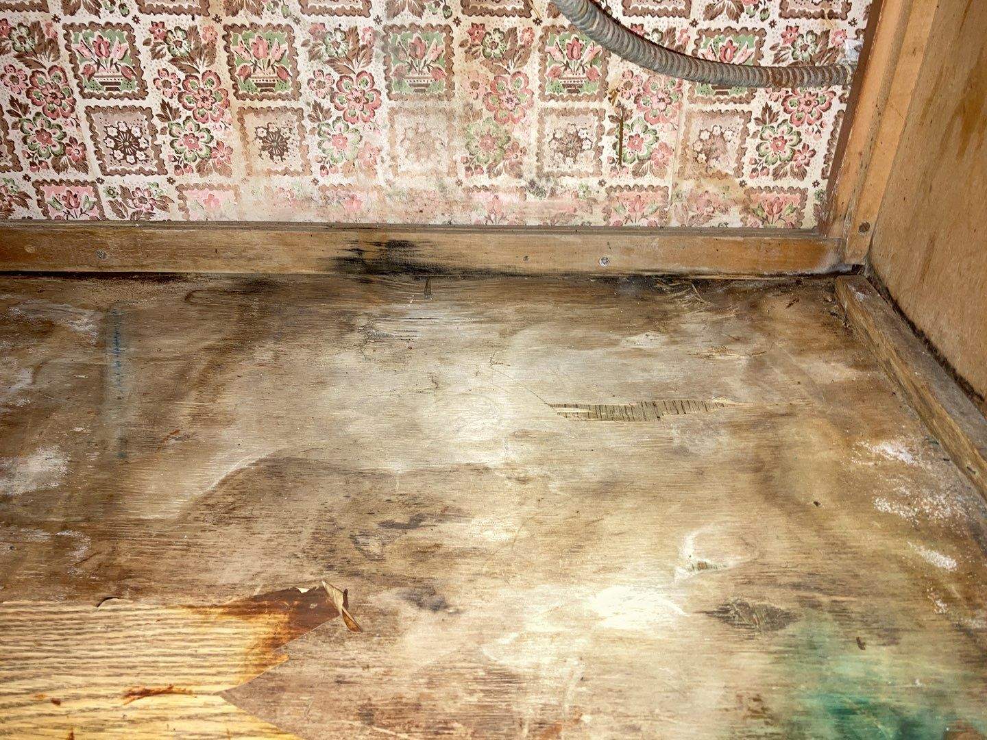 Mold Remediation in Basement by Accountable Home Services