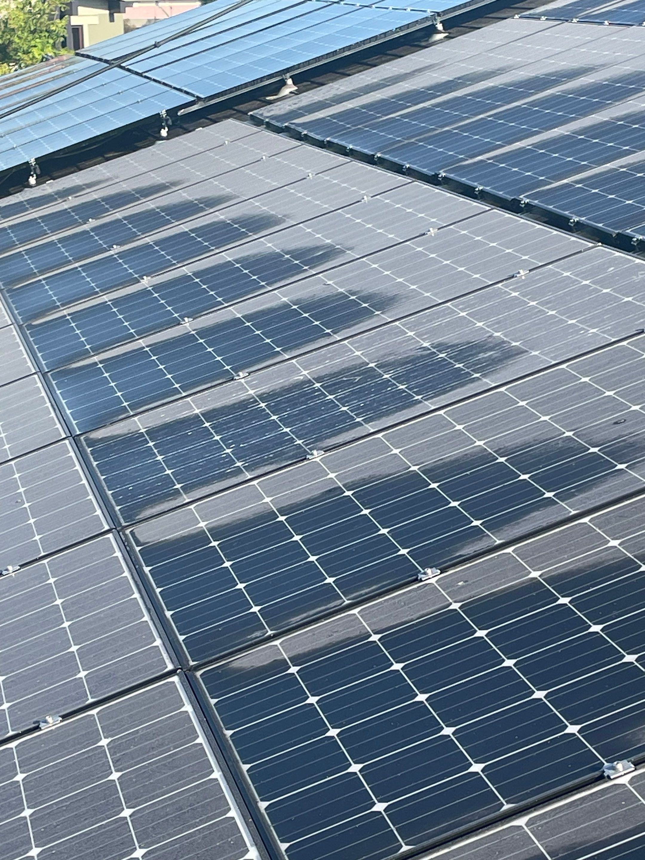 Commercial Solar Panel Cleaning for Chandler School in Pasadena Ca by Palm Coast Solar Cleaning
