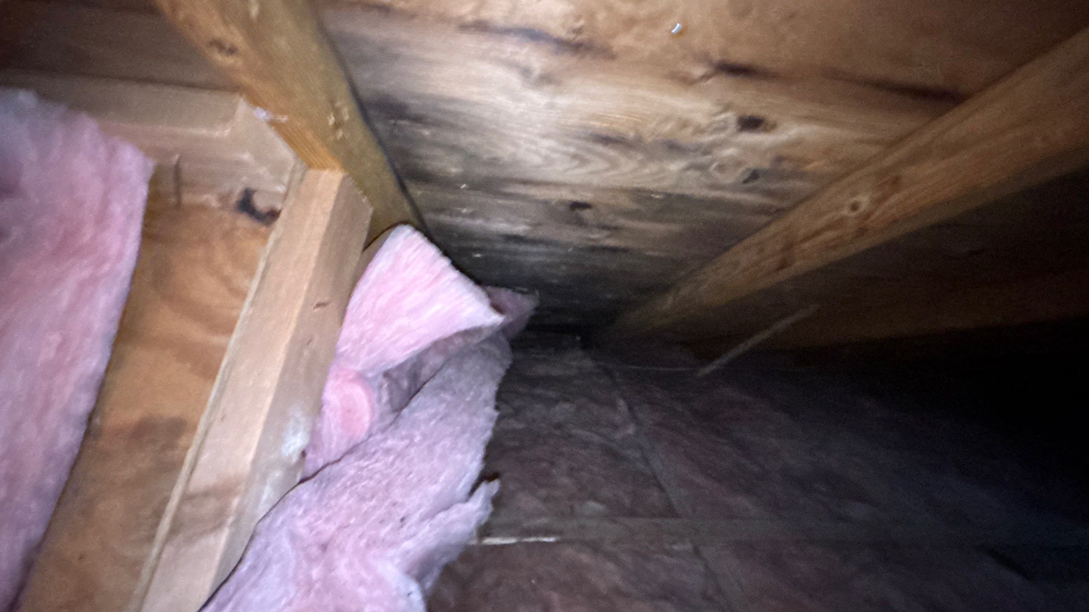 Roof Replacement using Owens Corning Summer Harvest by 180 Contractors