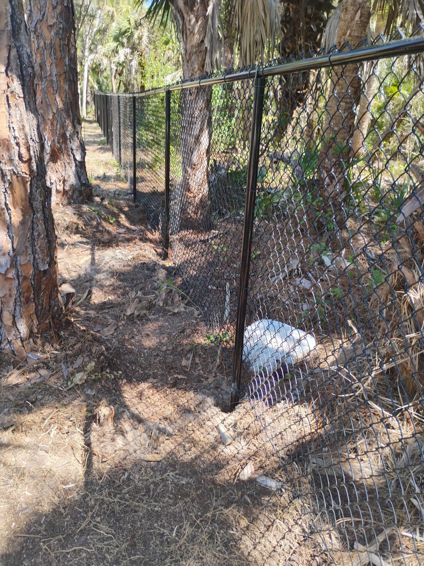 Chain Link Install in North Port by True Fence LLC