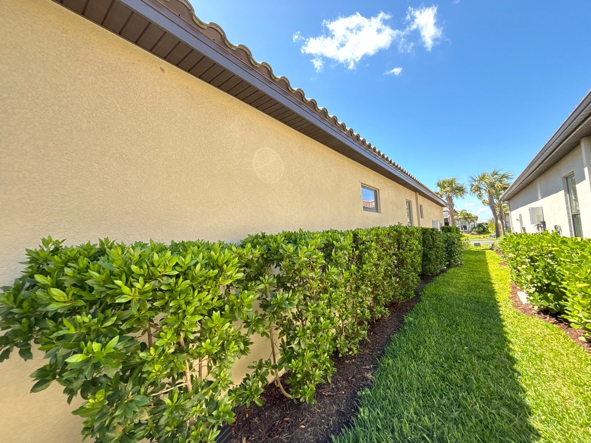 Premium 7-Inch Seamless Gutters in Lakewood Ranch FL by Gutter Professor by Gutter Professors